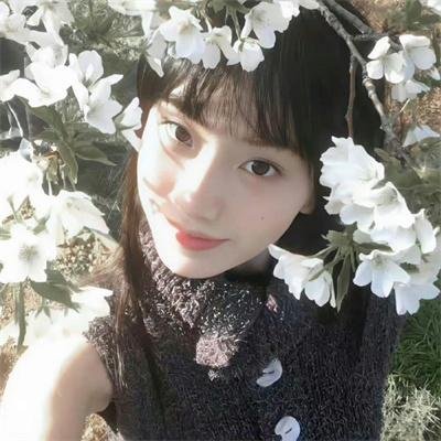 彩云飞